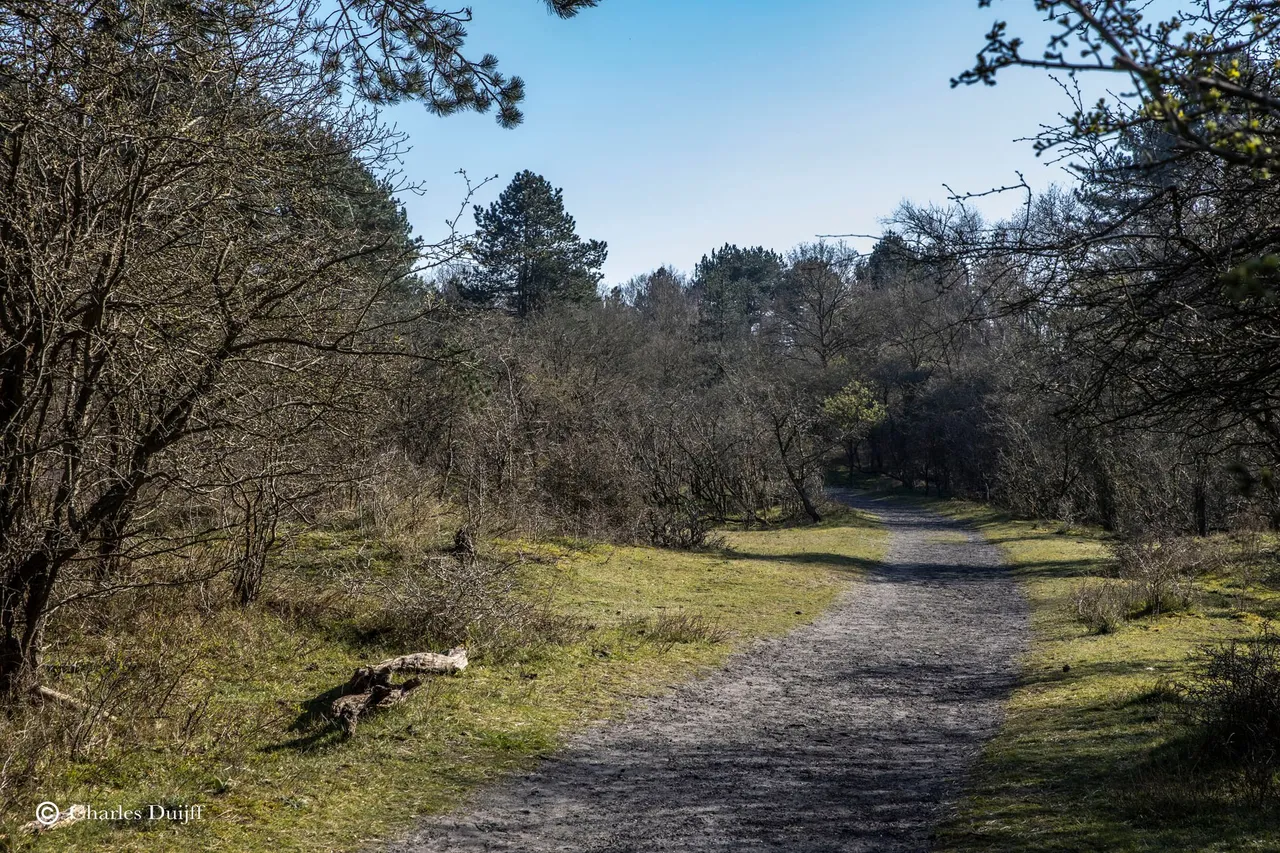 koningshof west