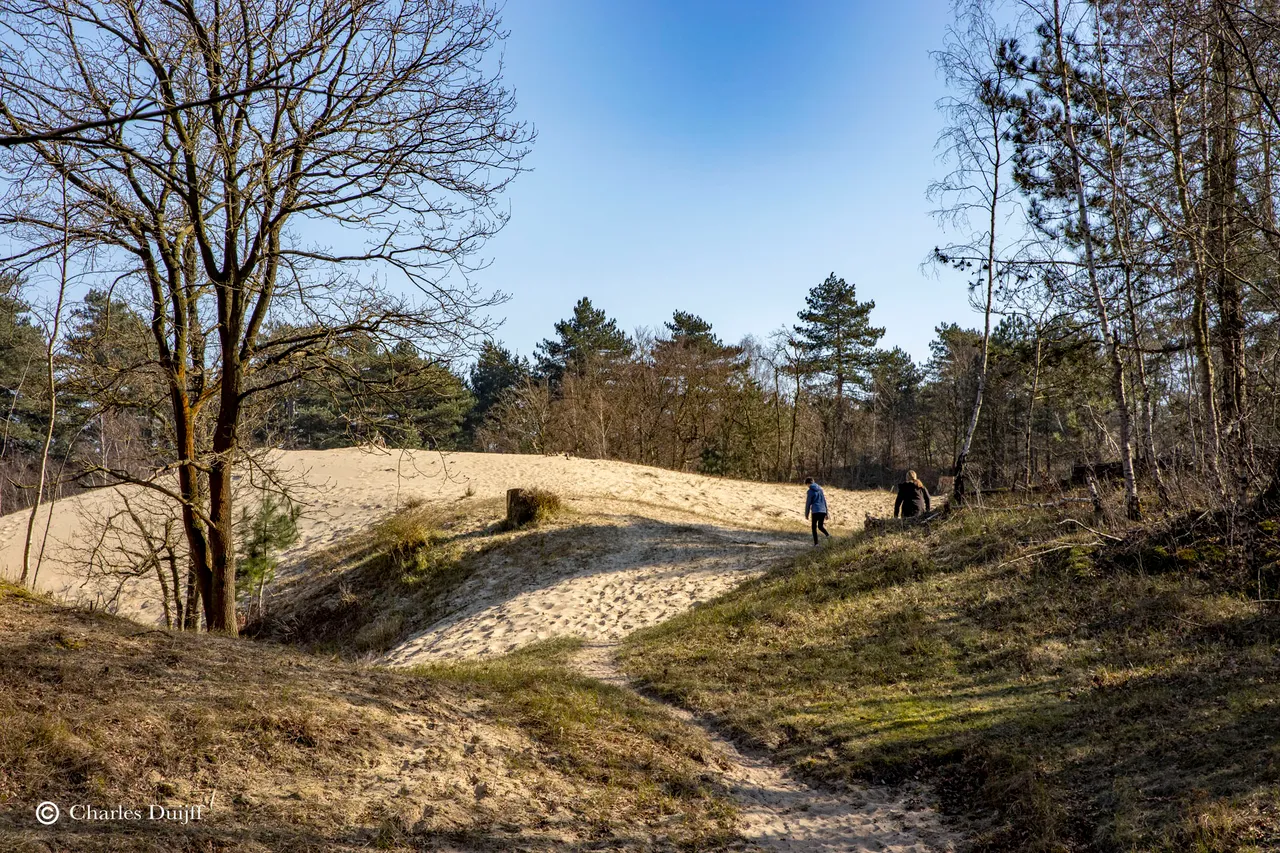 koningshof zandvlak