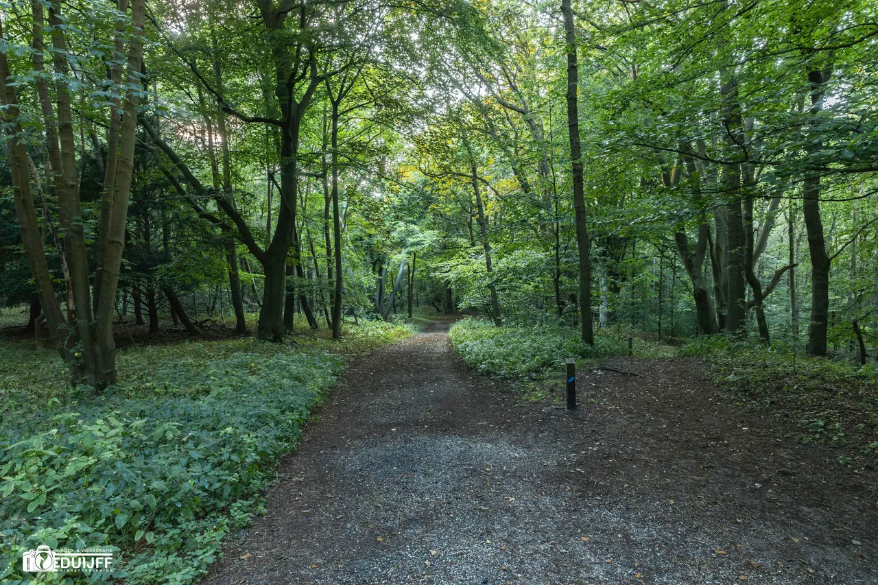 koningshof8