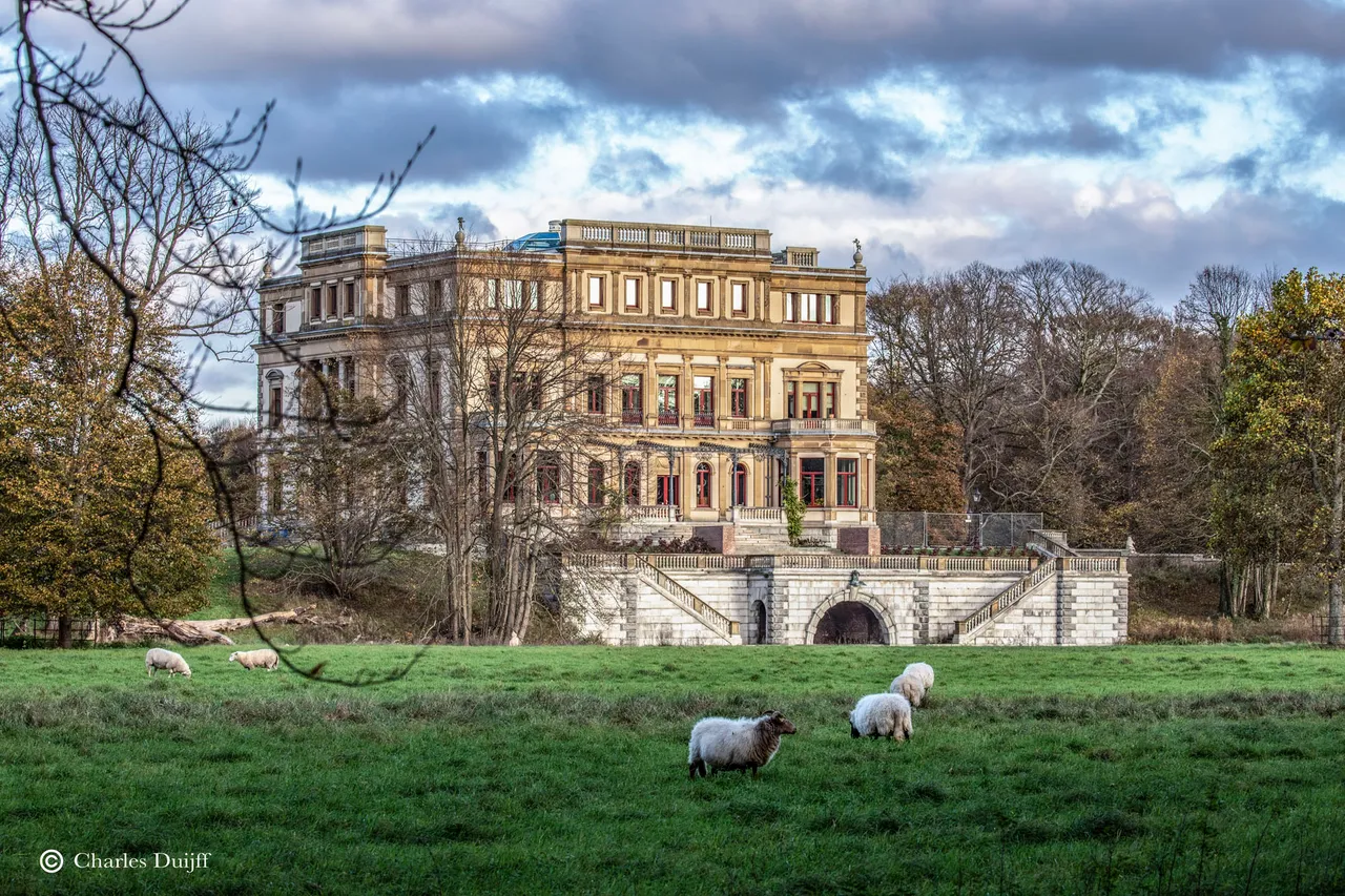 landhuis sheep