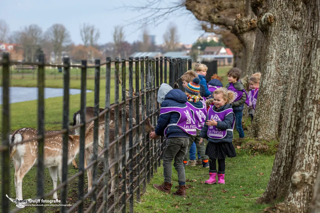 les petits