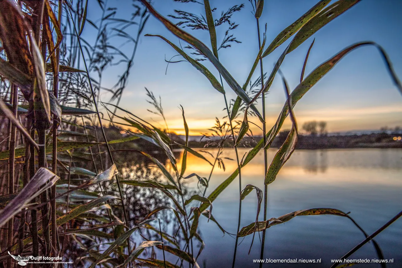 meer door riet