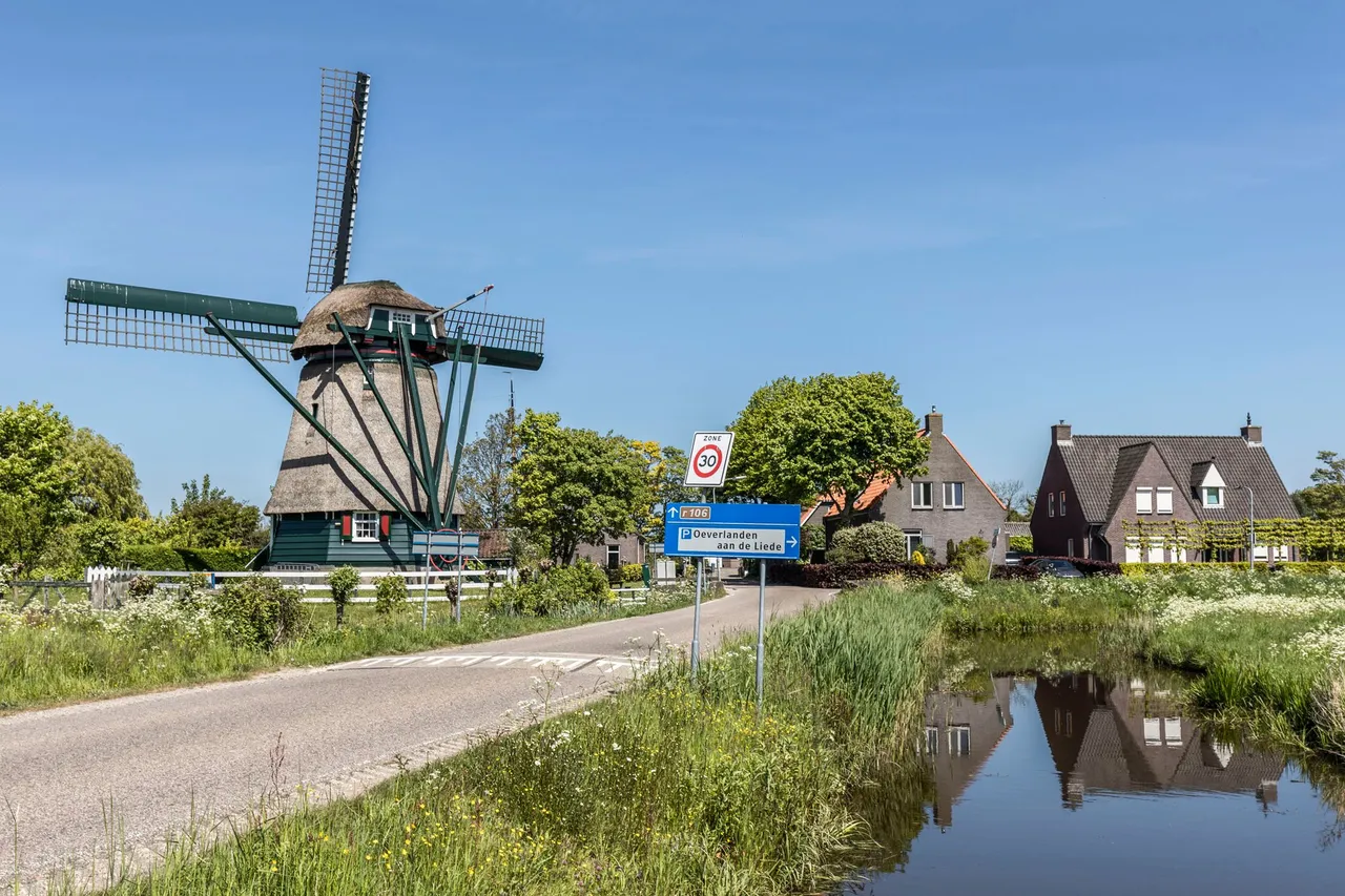 mollen penningsveer