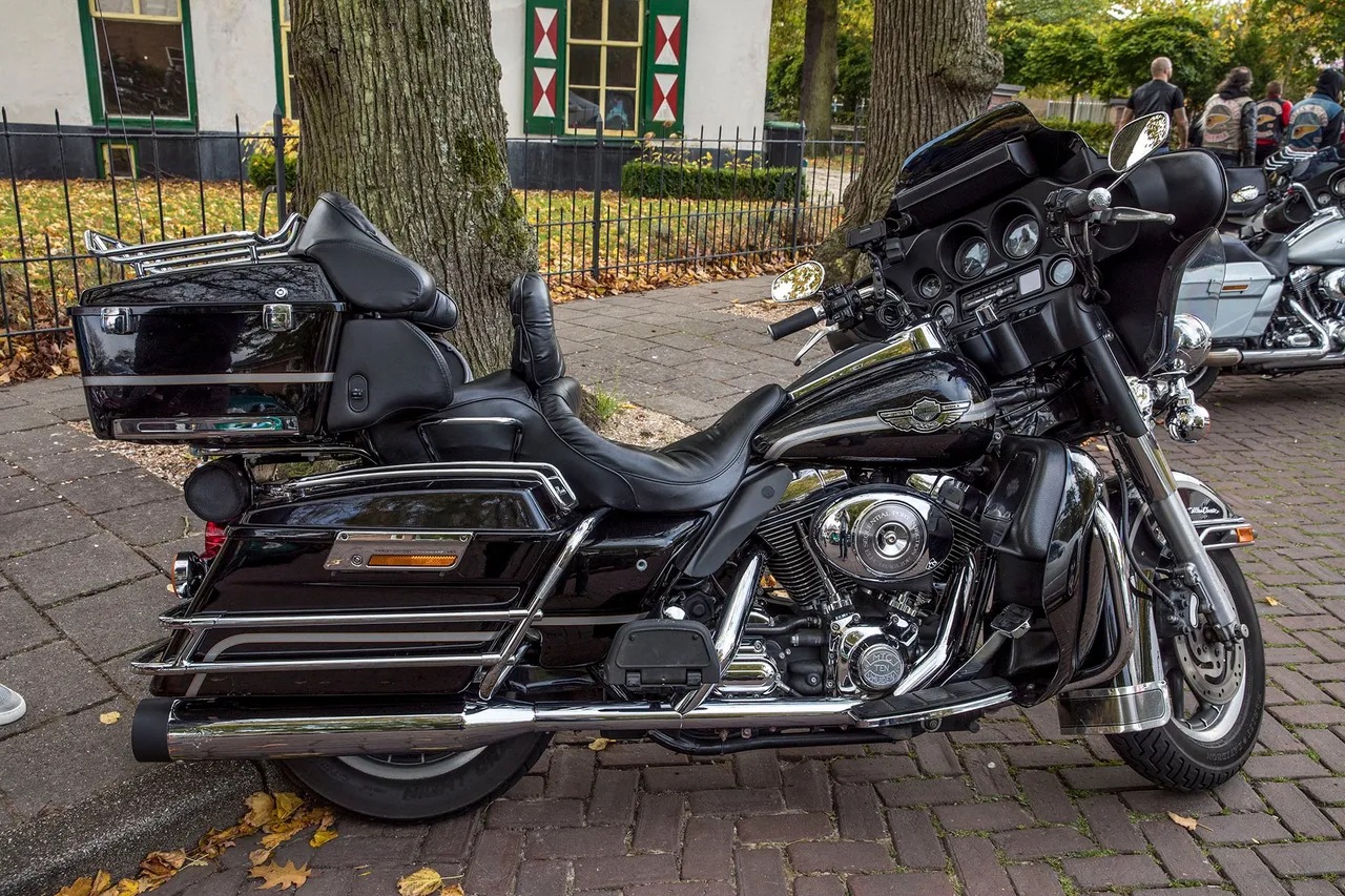 mooie harley