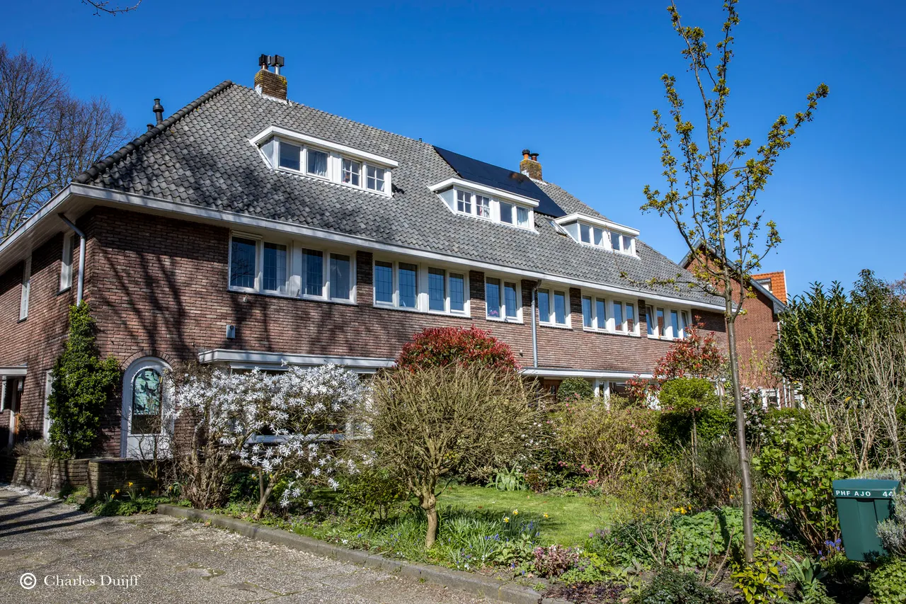 mooie tuin