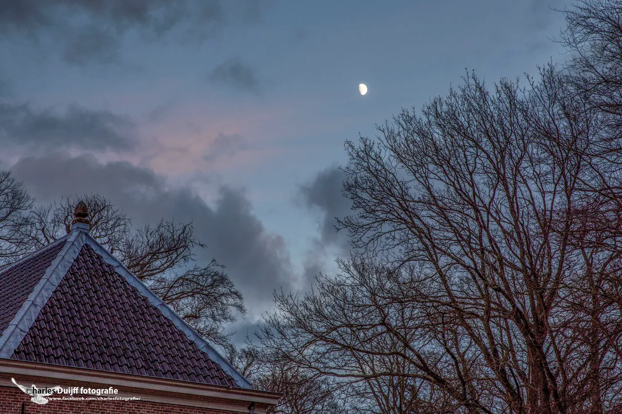 moon