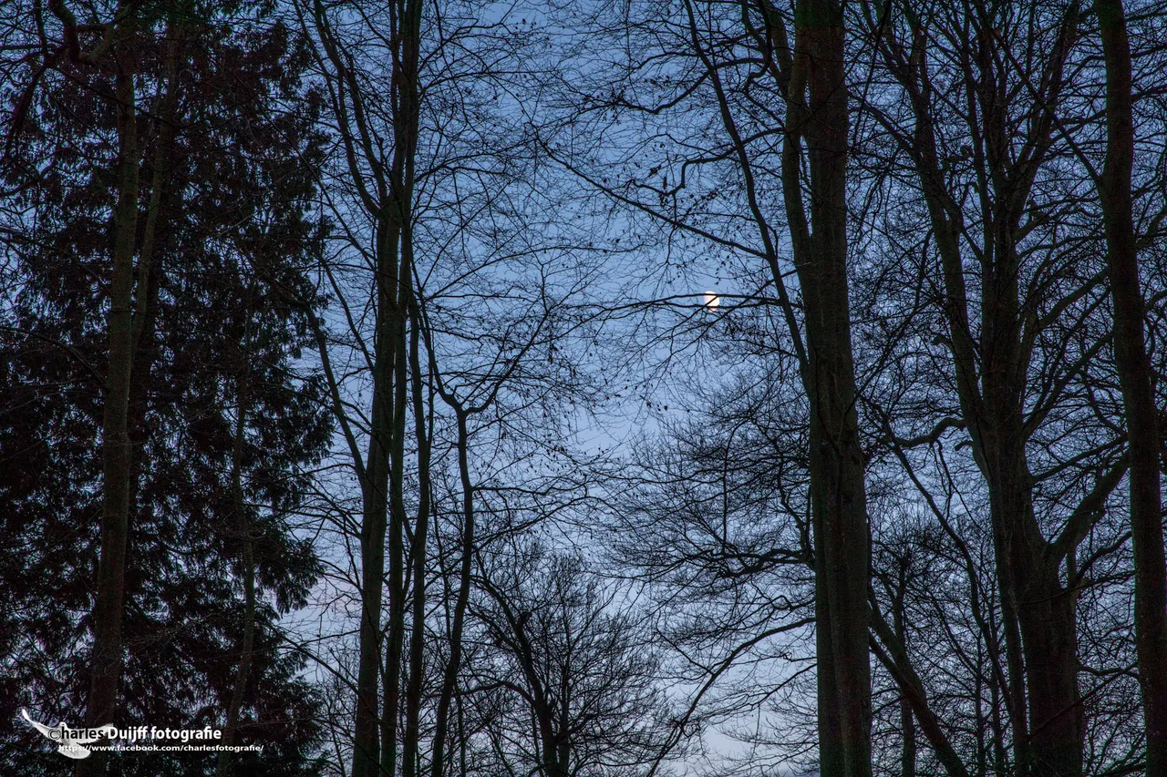 moon2