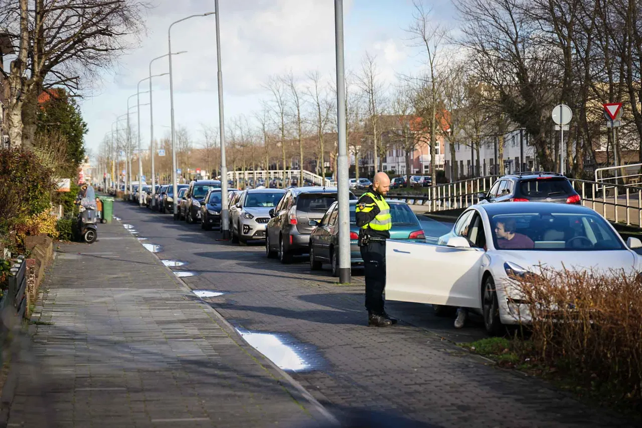 nieuwsfotonl haarlem 2