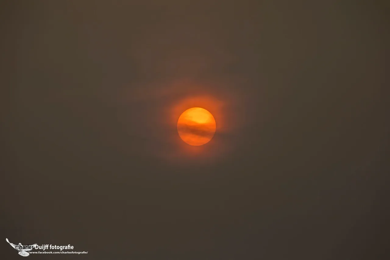 orange sun 2