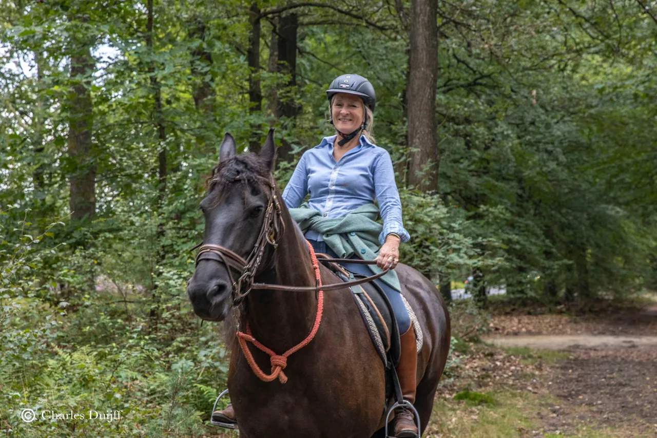 paard rijden
