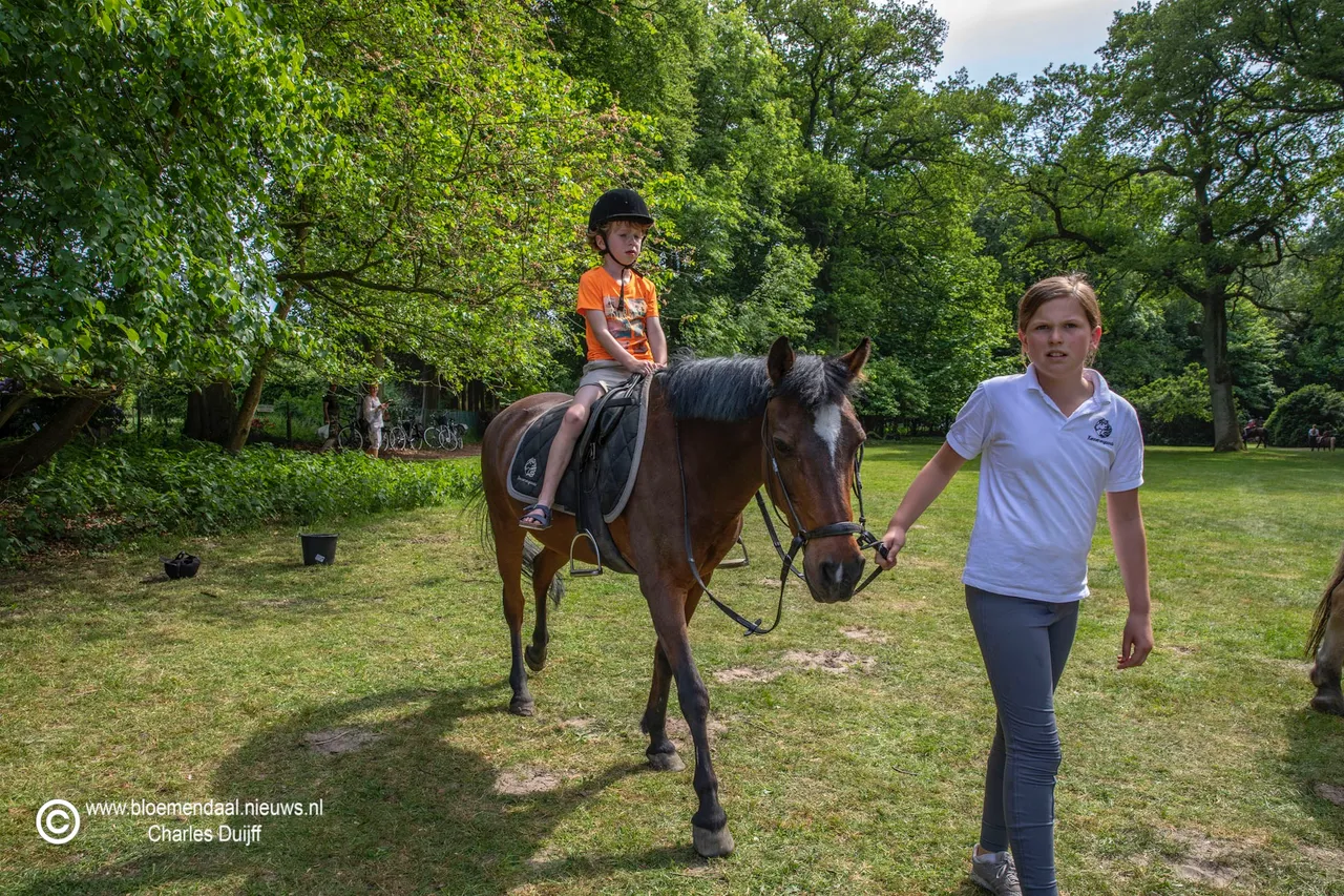 paardrijden ii