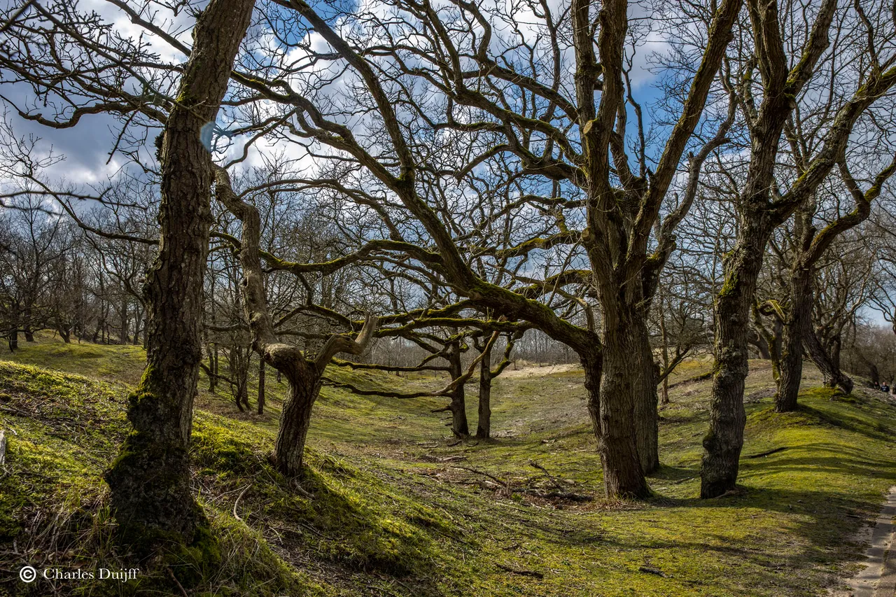 panneland8