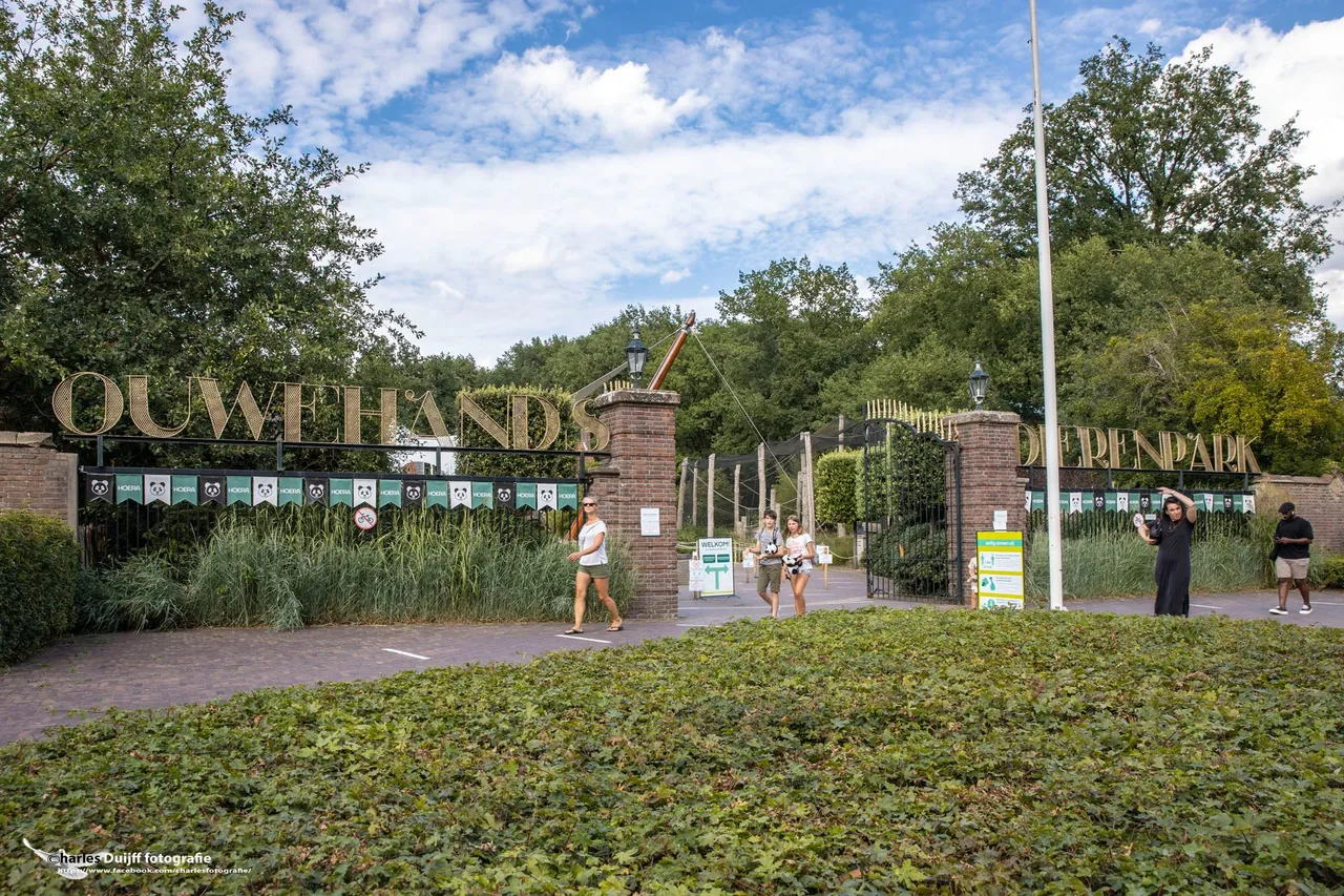 parkentree
