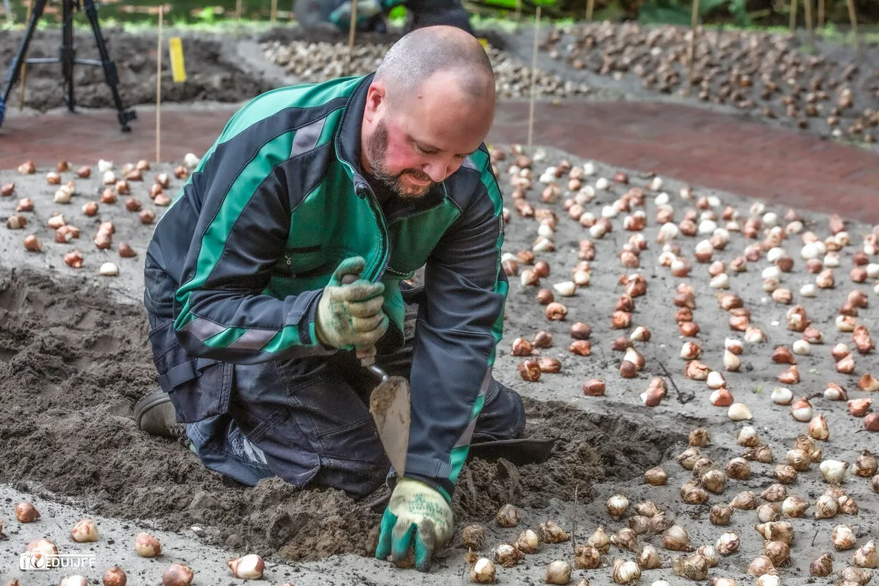 planten
