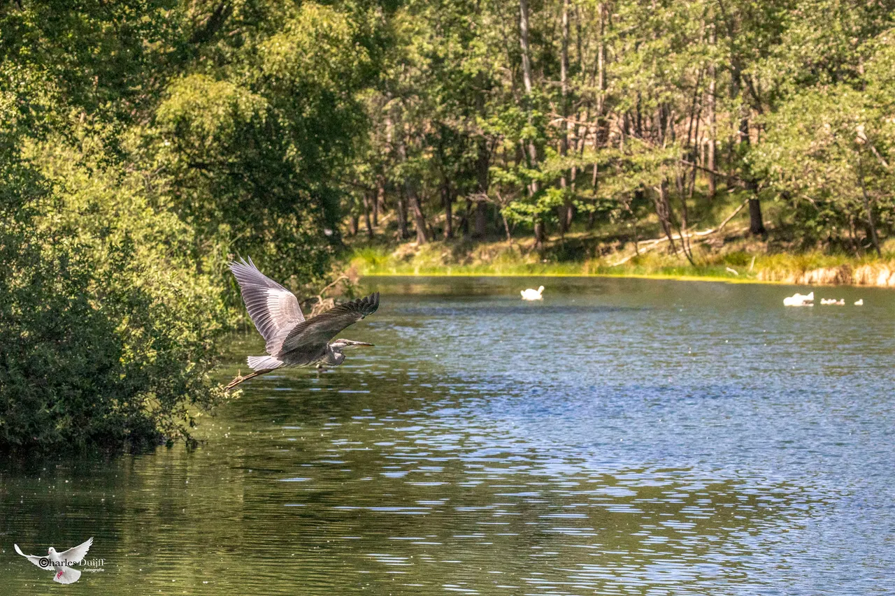 reiger2