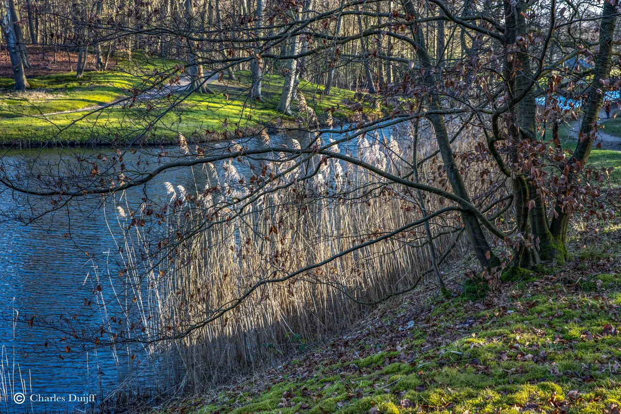 riet2