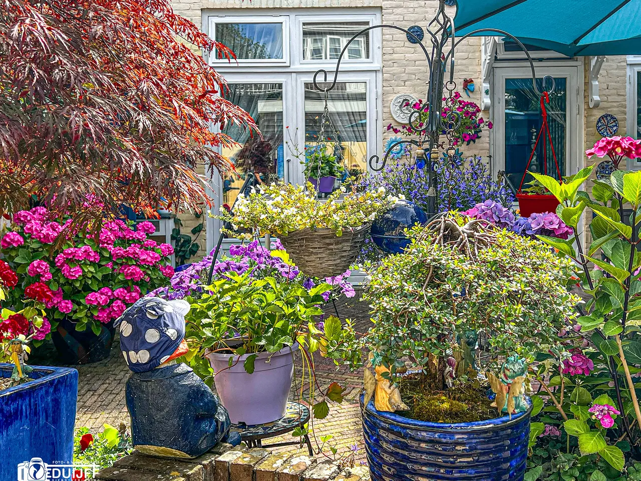 tuin miep1