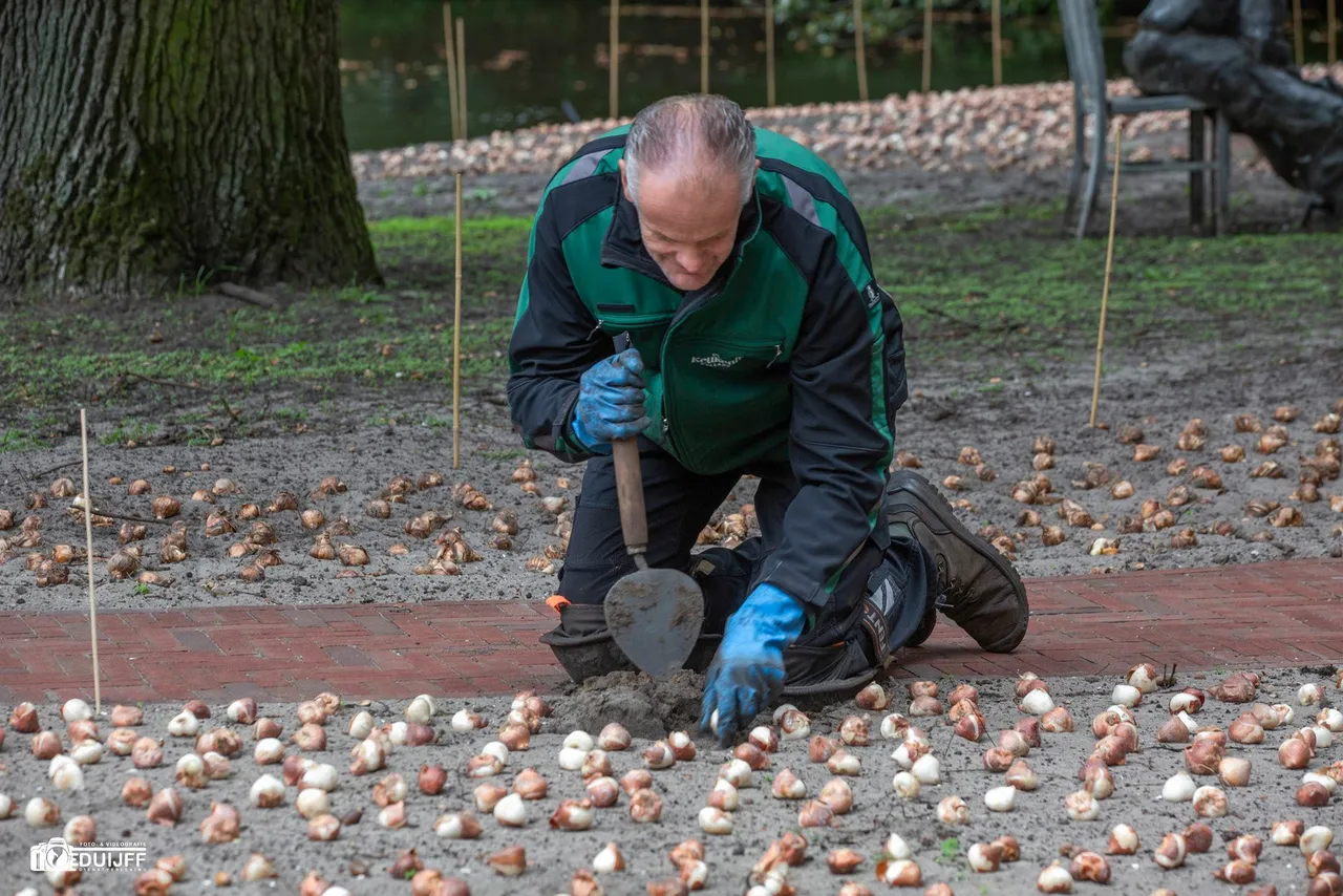 tuinman dichtbij
