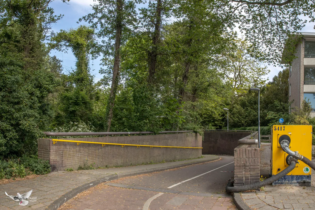 tunnel5