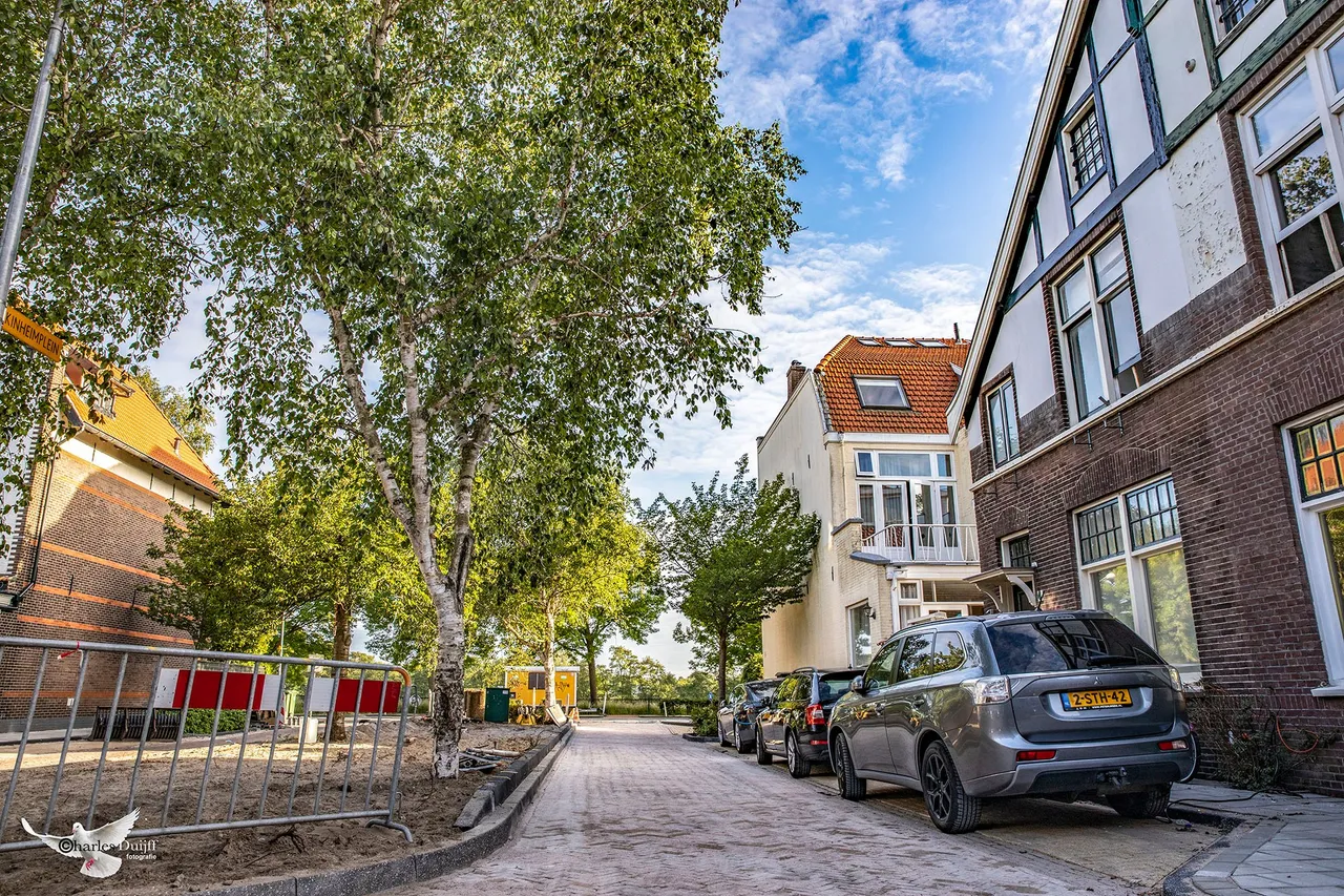 uitgelicht5