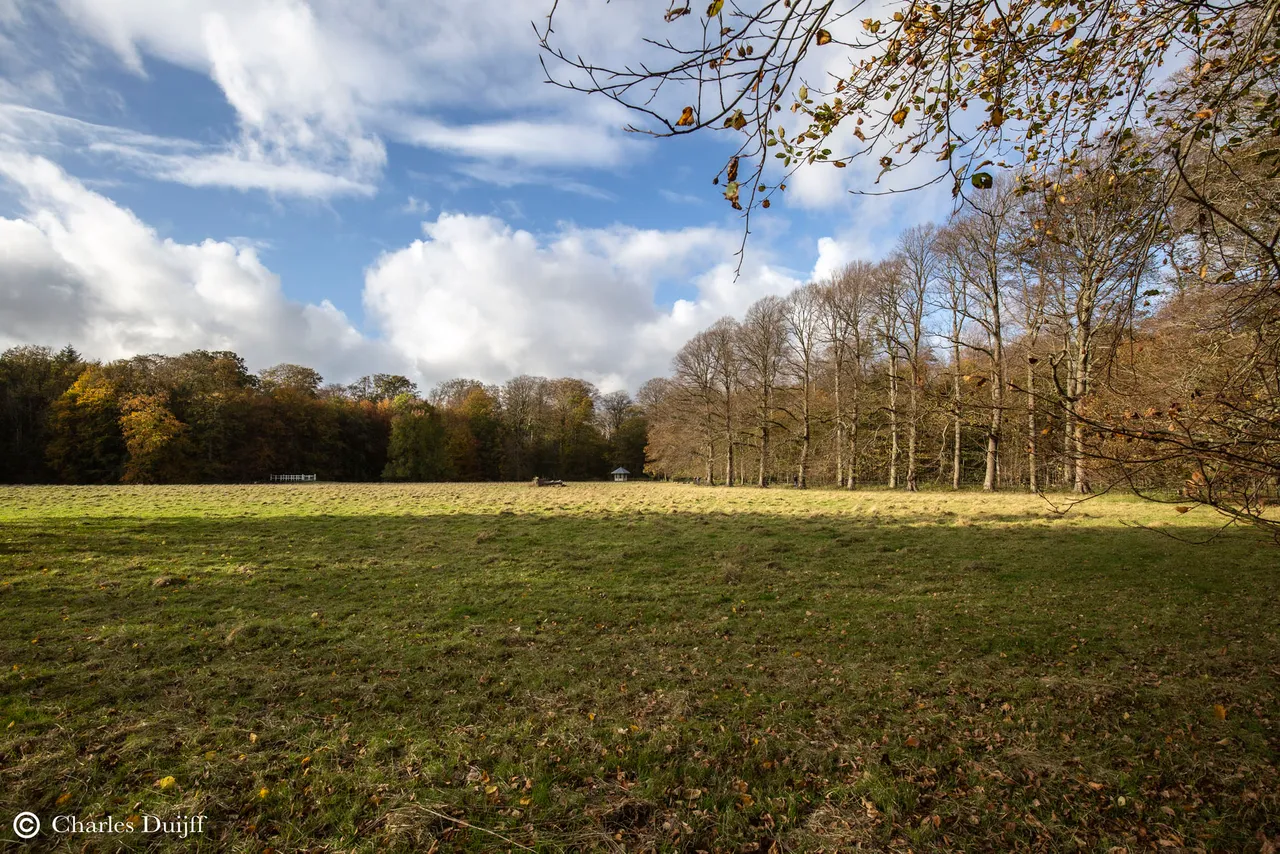 veld