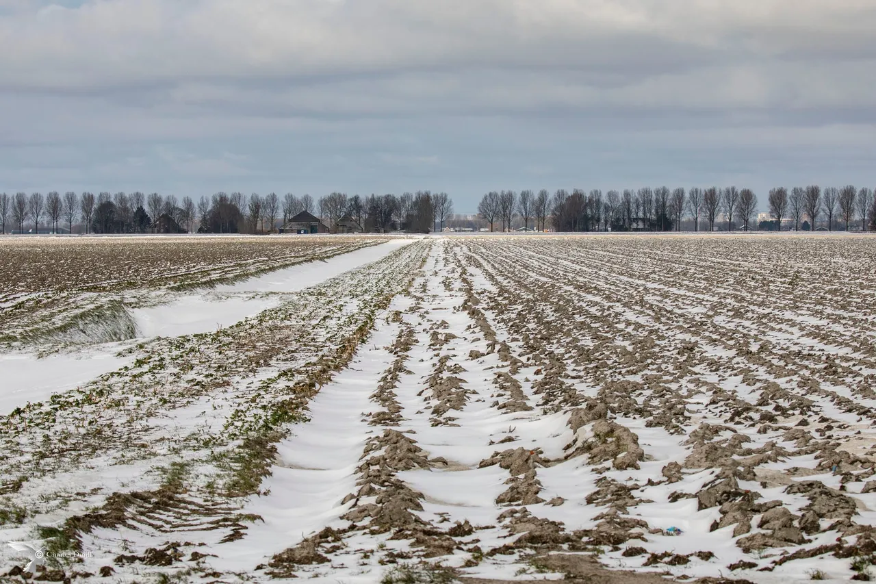 veld
