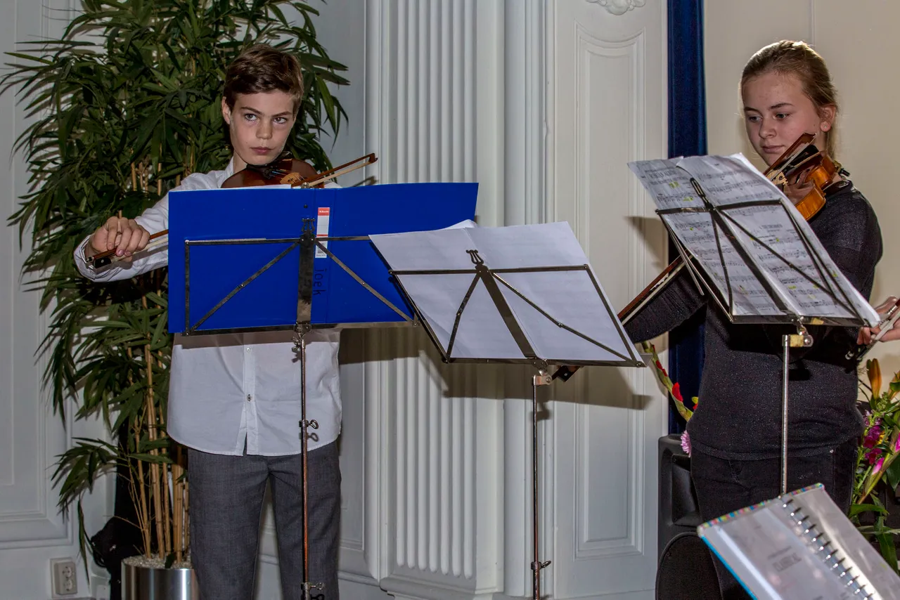 violist en violiste
