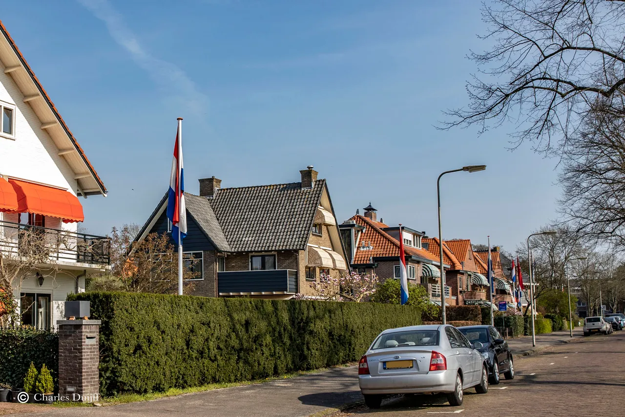 vlaggen