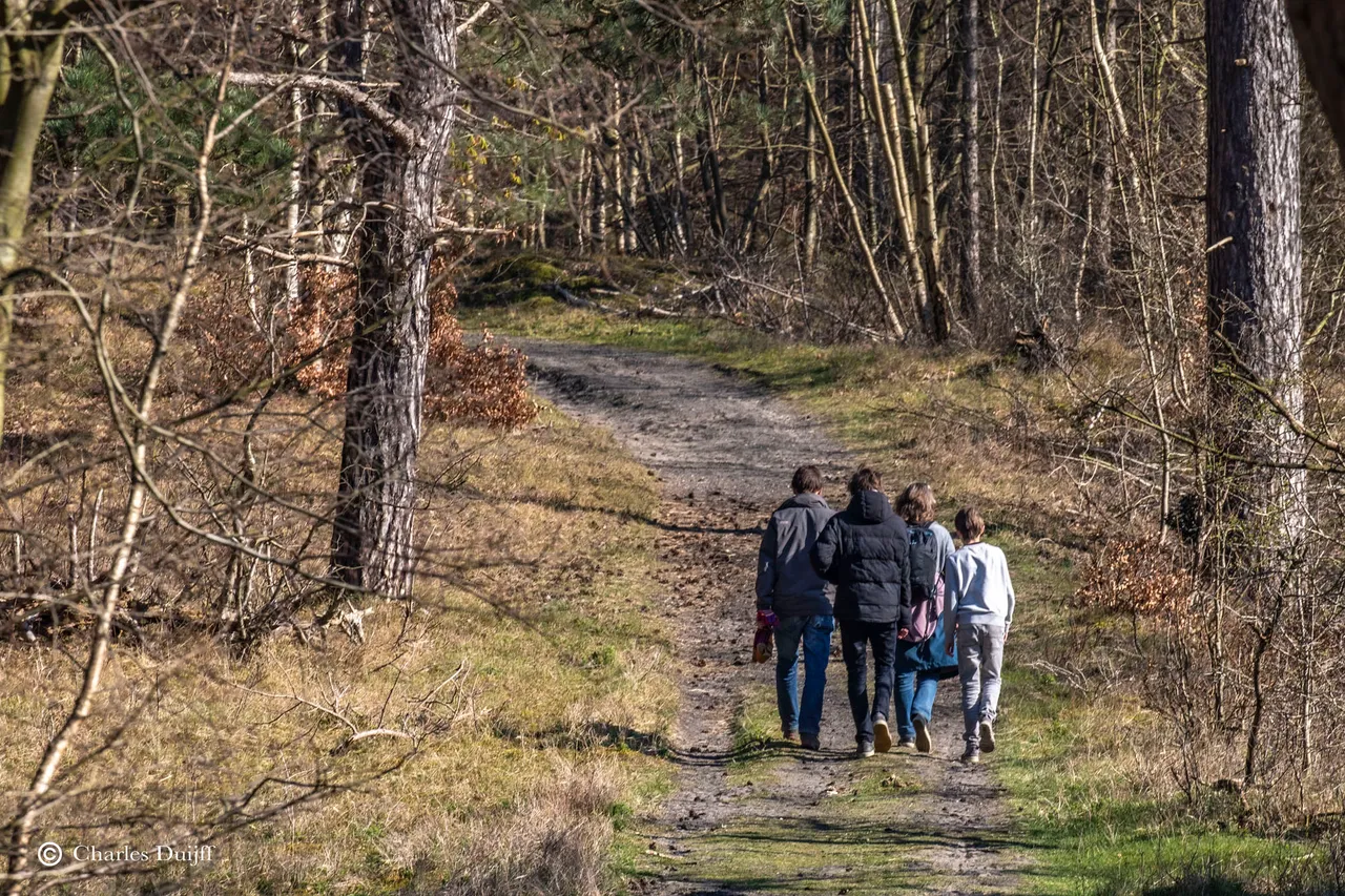 wandelaars koningshof