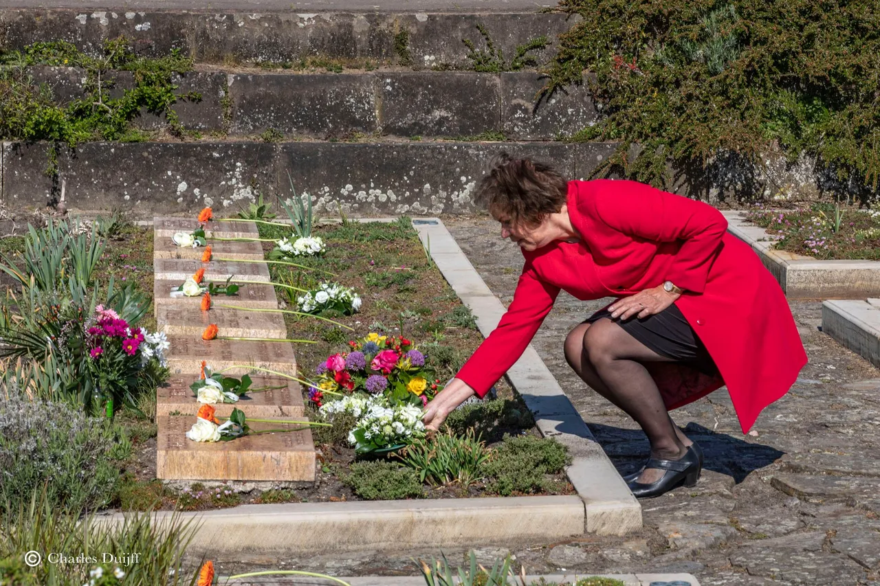 wethouder velsen