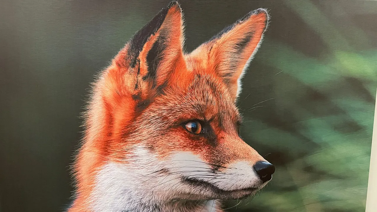 whatsapp image 2022 11 15 at 092651