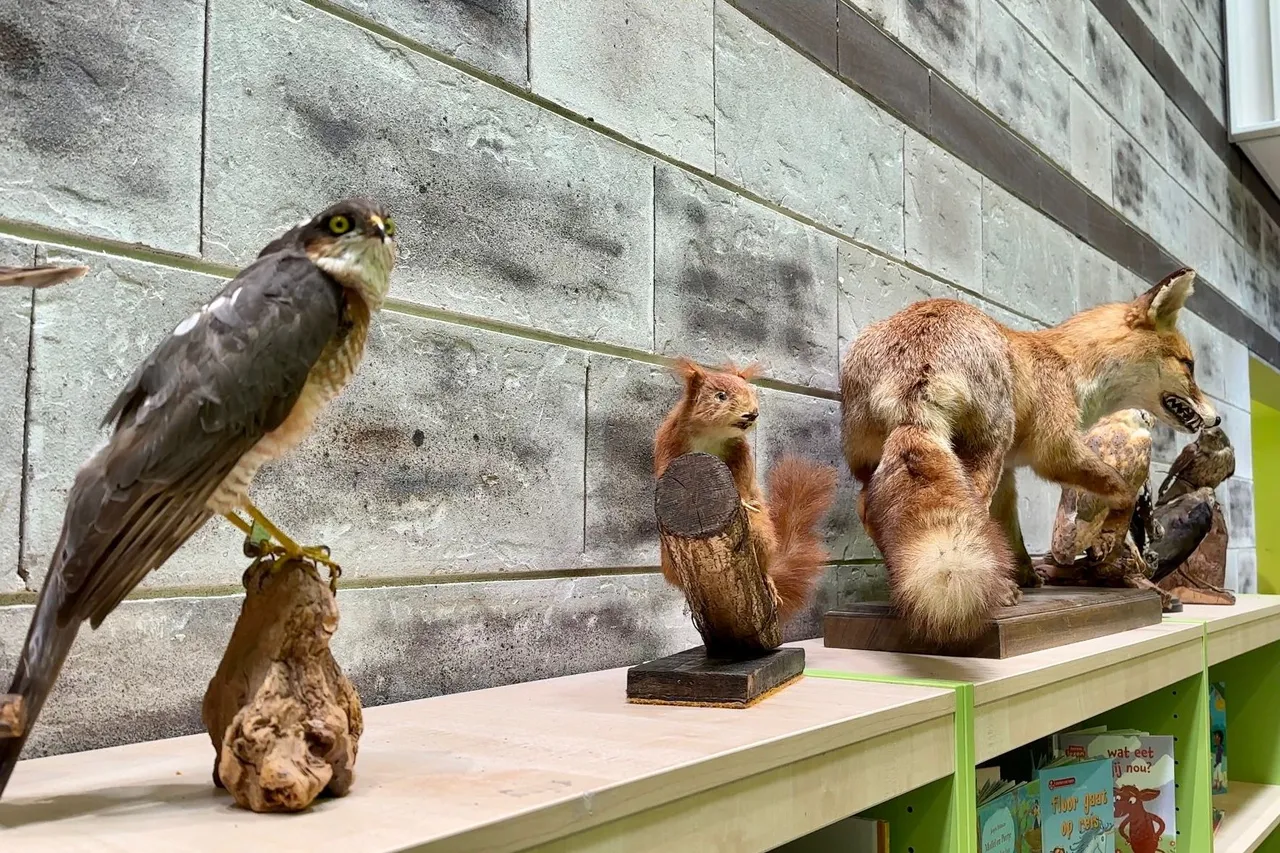 whatsapp image 2023 05 20 at 094134 1