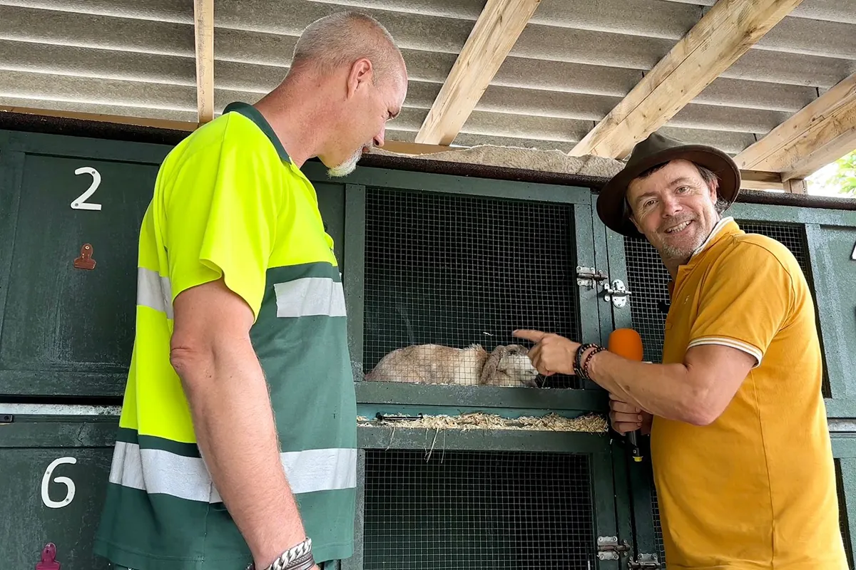 whatsapp image 2023 07 05 at 092430 1 kopieren