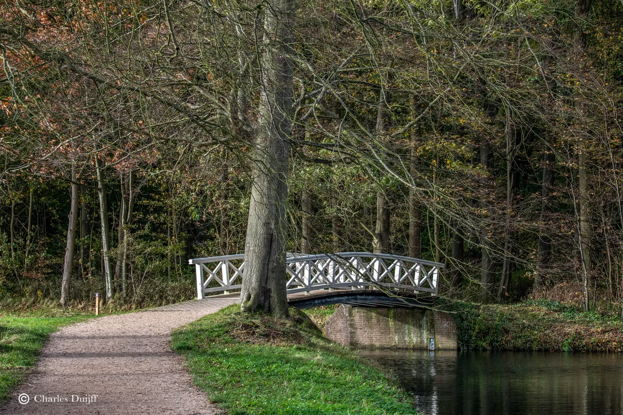 witte brug