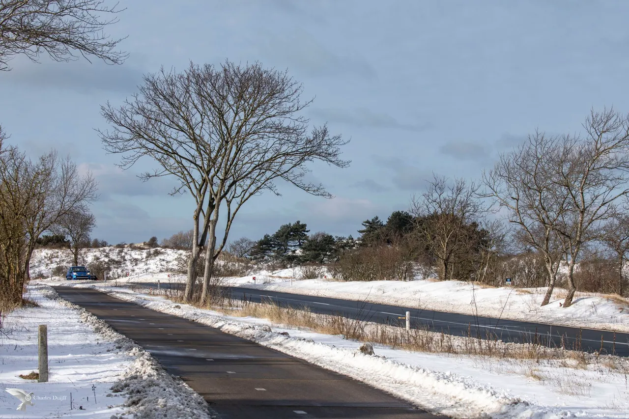 zeeweg fraai