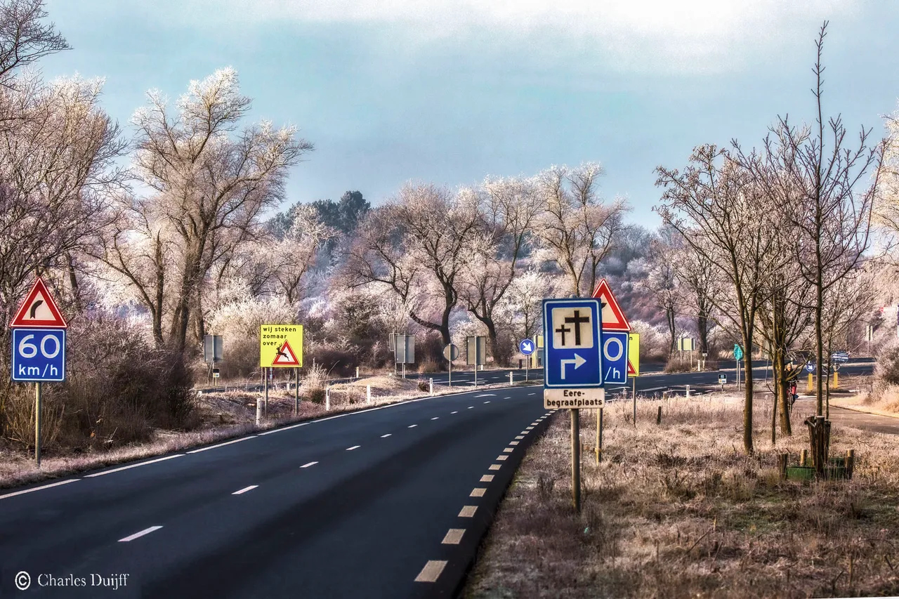 zeeweg rijp op bomen