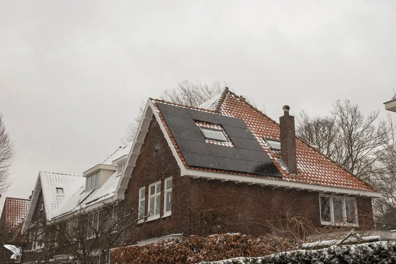 zonnepanelen