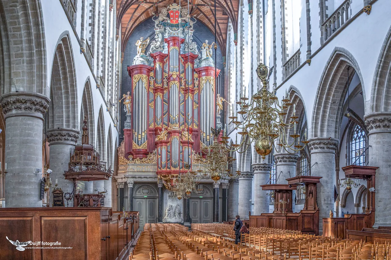 BAVO inside