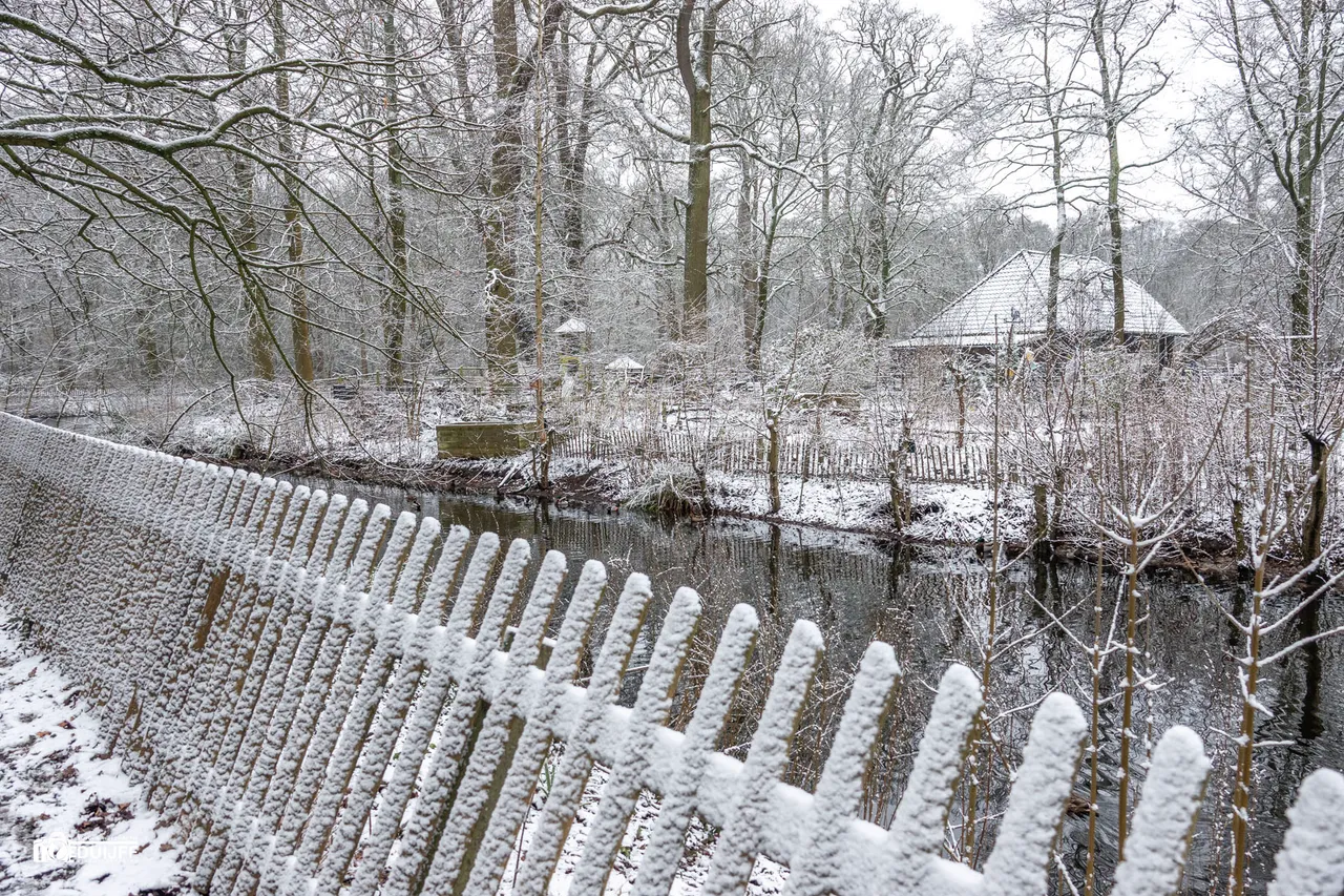 H Hout SONY kinderboerderij