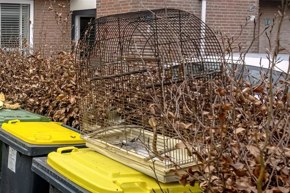 download 126721 s1000x1000