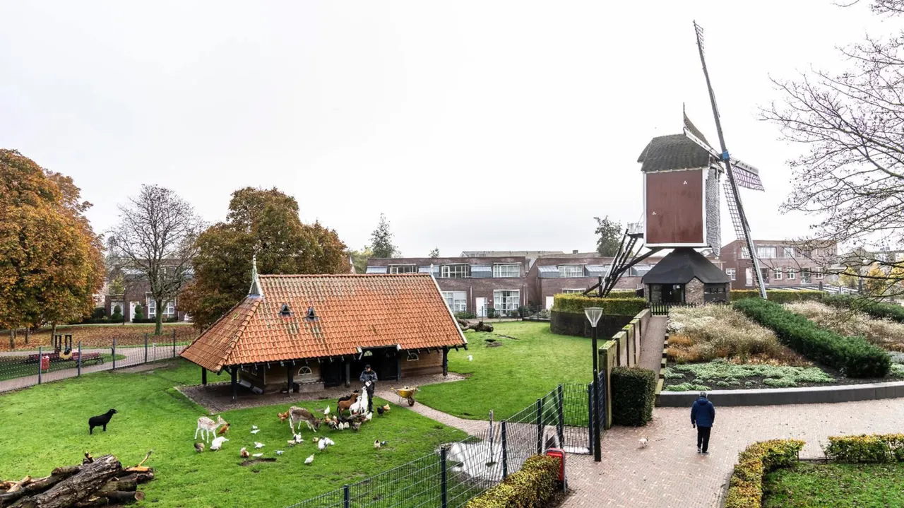 Het hertenkamp in Mierlo met de Molen er naast (foto: Gemeente Geldrop Mierlo).