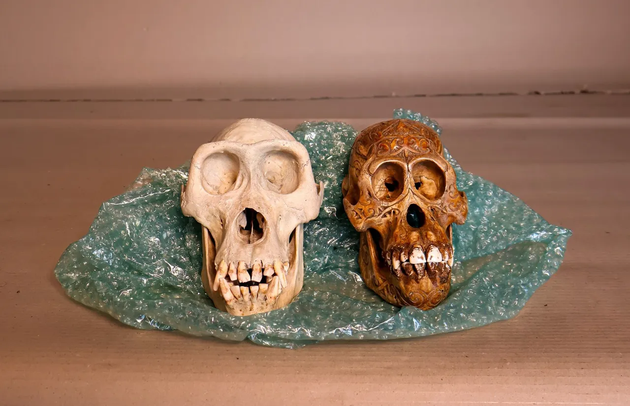 Schermafbeelding 2025-12-11 om 11.40.55