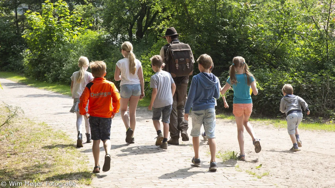 161459042 247468160361207 3984096557392777791 n