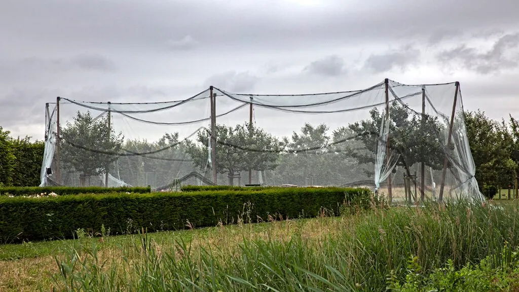 5i5a5700 netten 1024x576 1