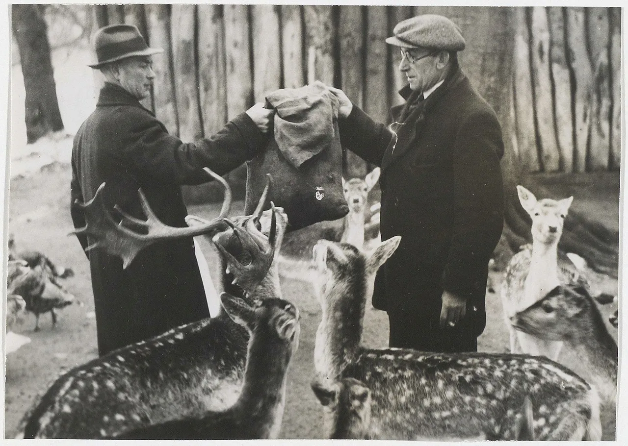 8318fdb3 d2e0 4e08 a3c2 c444609c7f48 0