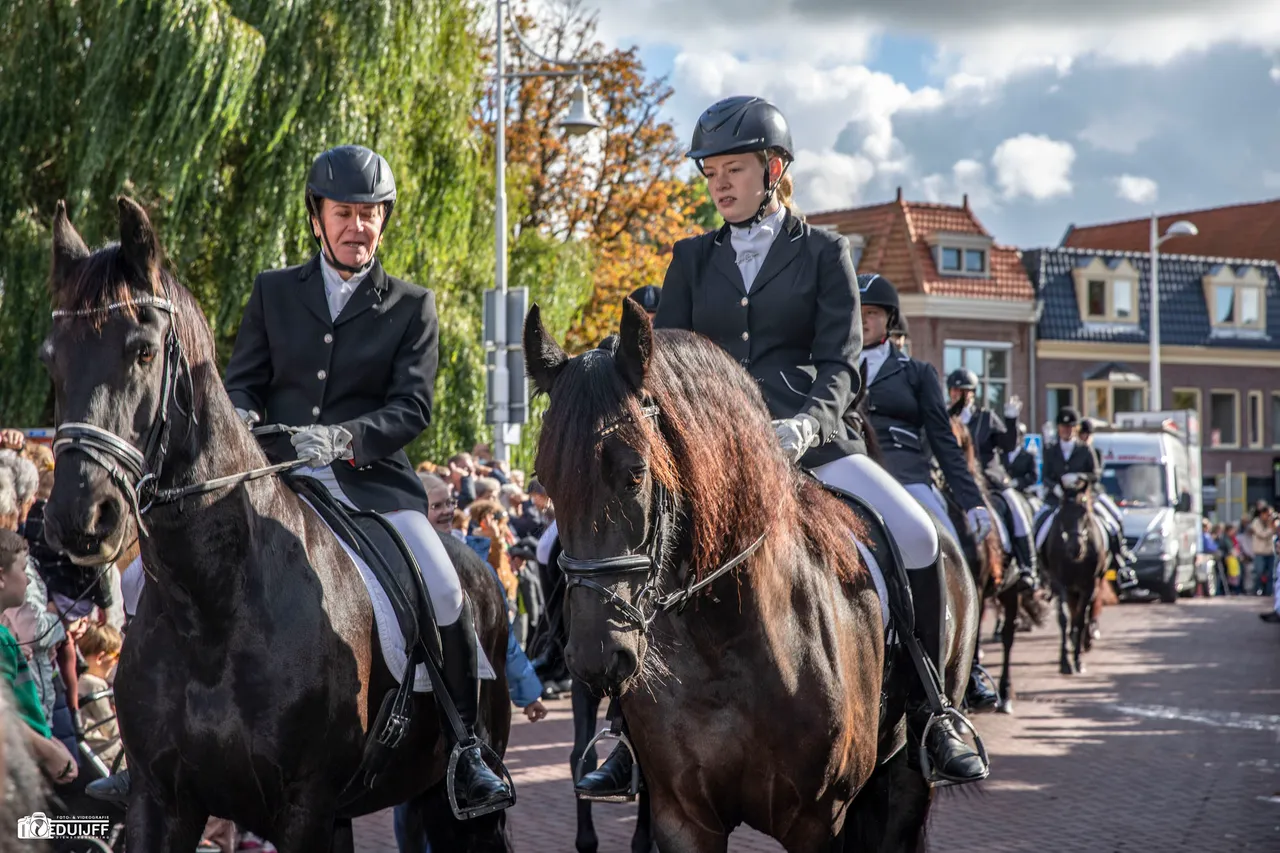 grote optocht paarden