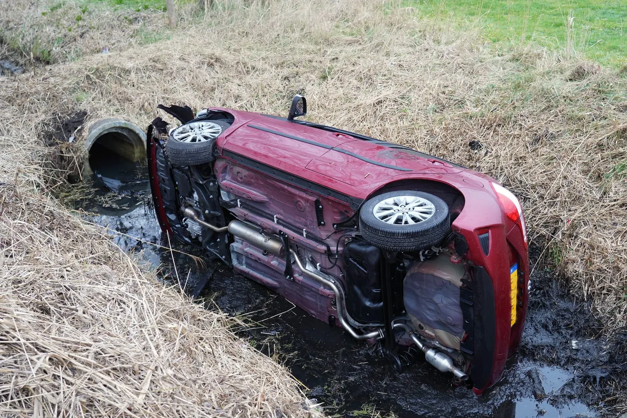 img 20230221 wa0057 kopieren