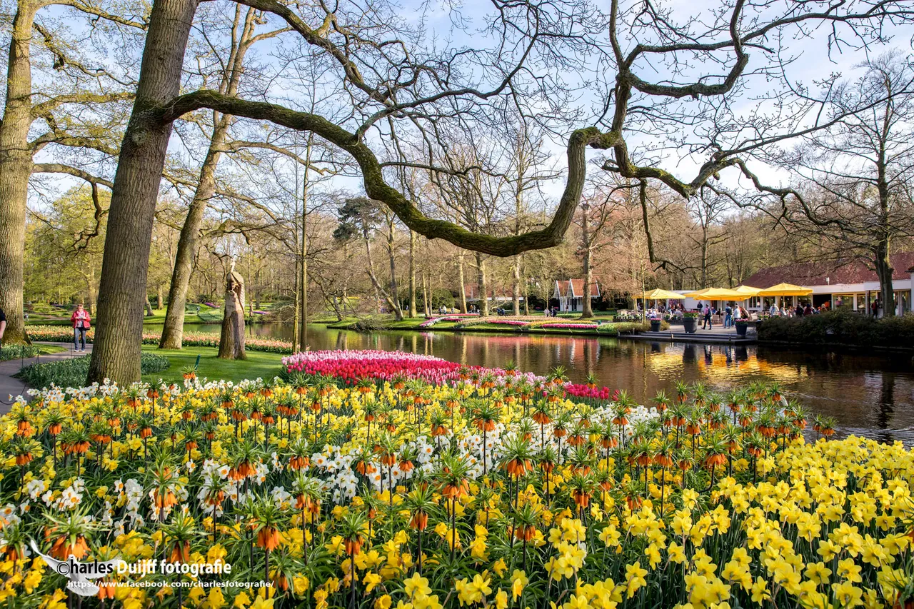 keukenhof1