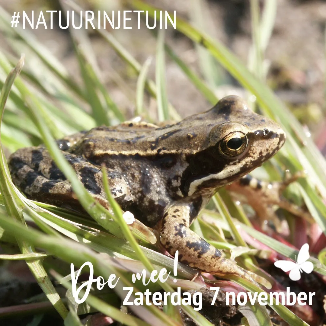 natuurinjetuin2