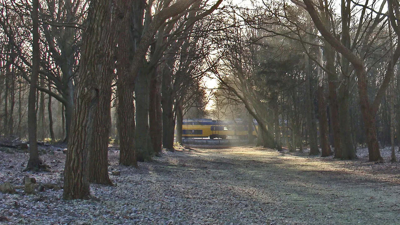natuurmonumenten trein door landgoed nijenburg